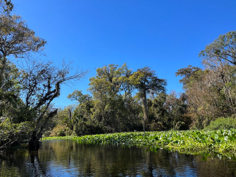 11 Florida Campgrounds So Well Secluded Even Most Residents Miss Them - Decor Hint Rock Springs Run State Reserve, Sorrento