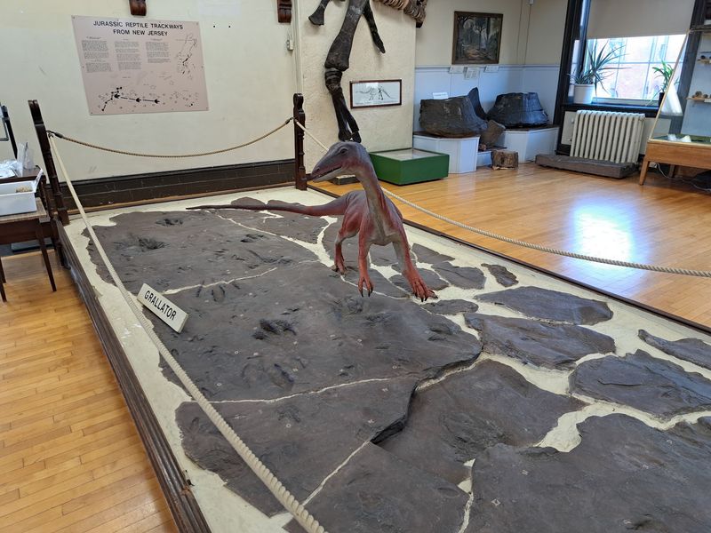 Footprints And Sea Monsters