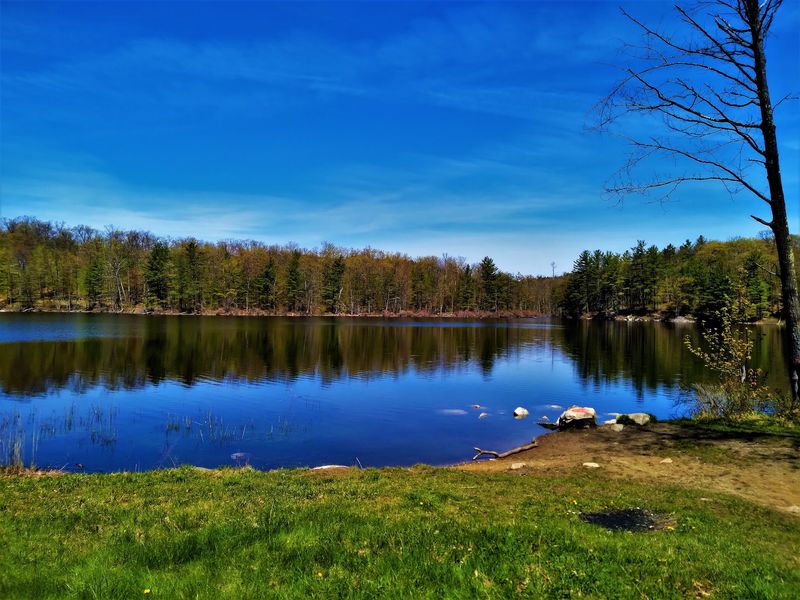 Room To Roam At Pine Hill