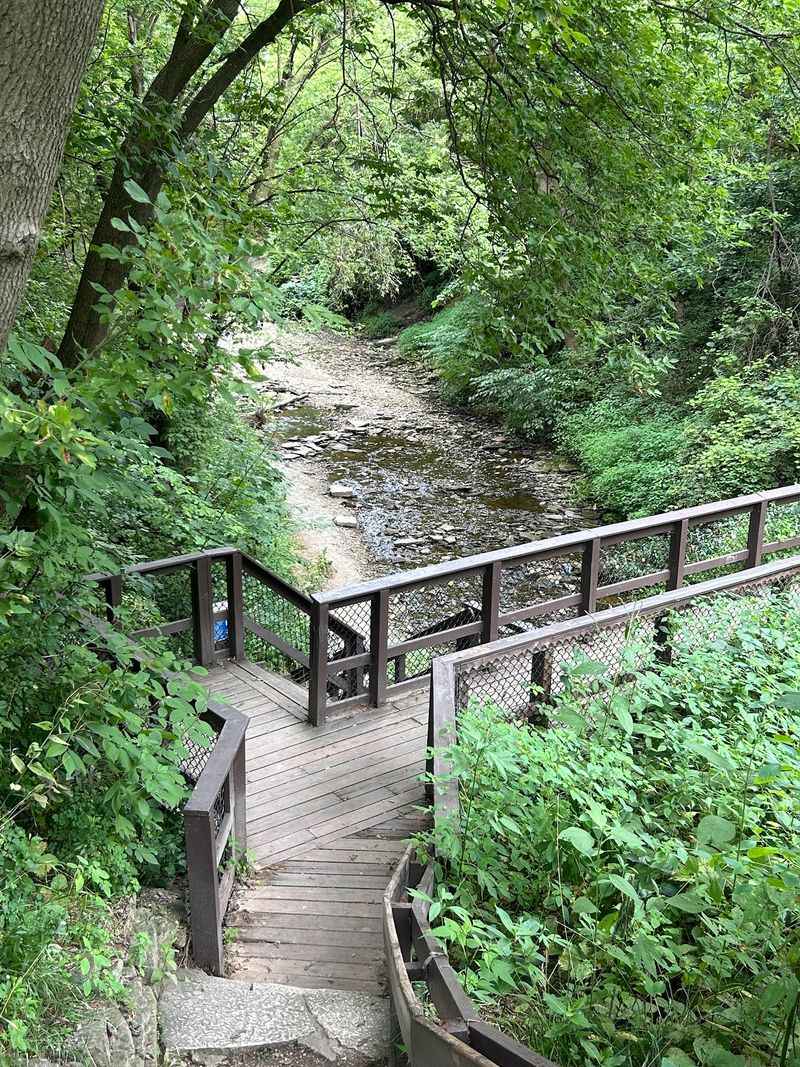 Picnics, Restrooms, And Parking