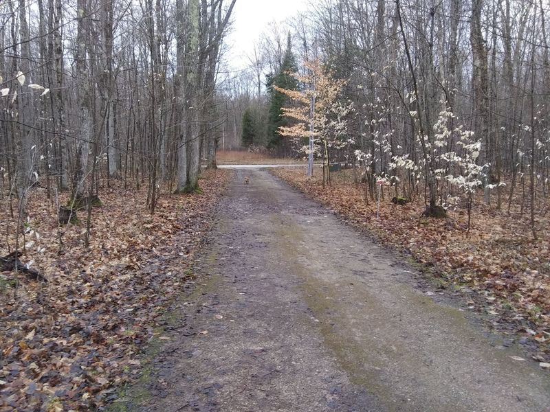 Luce County, Upper Peninsula