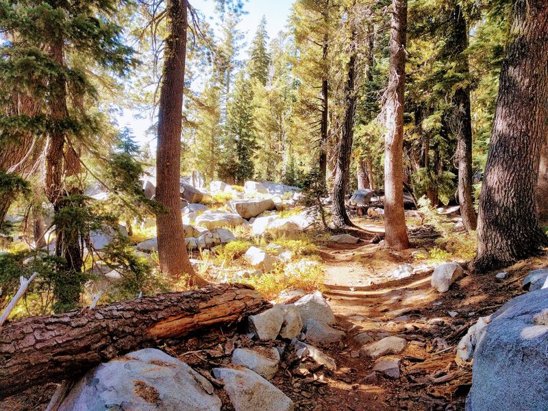 Hole In The Ground Trail, Donner Summit