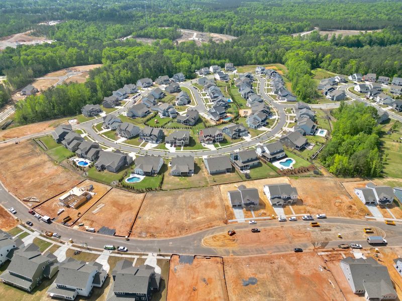 Holly Springs
