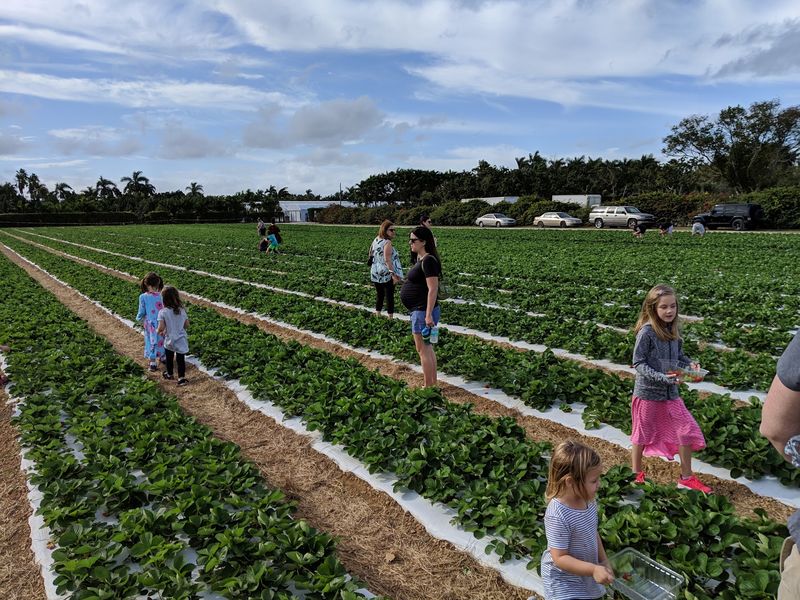 Making a Day of It in Florida's Farm Country