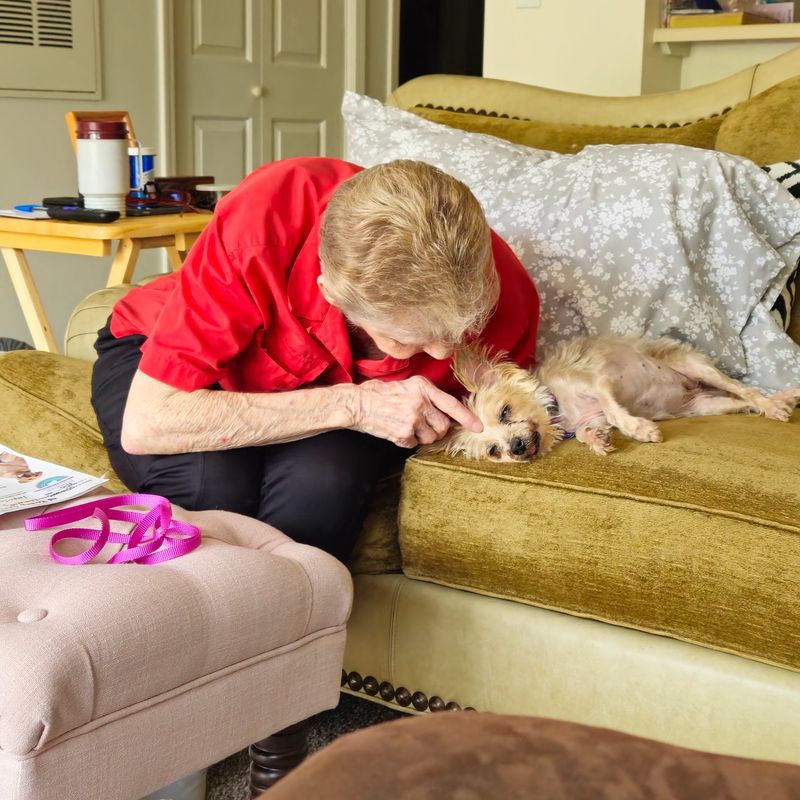 The Foster Homes Behind The Scenes