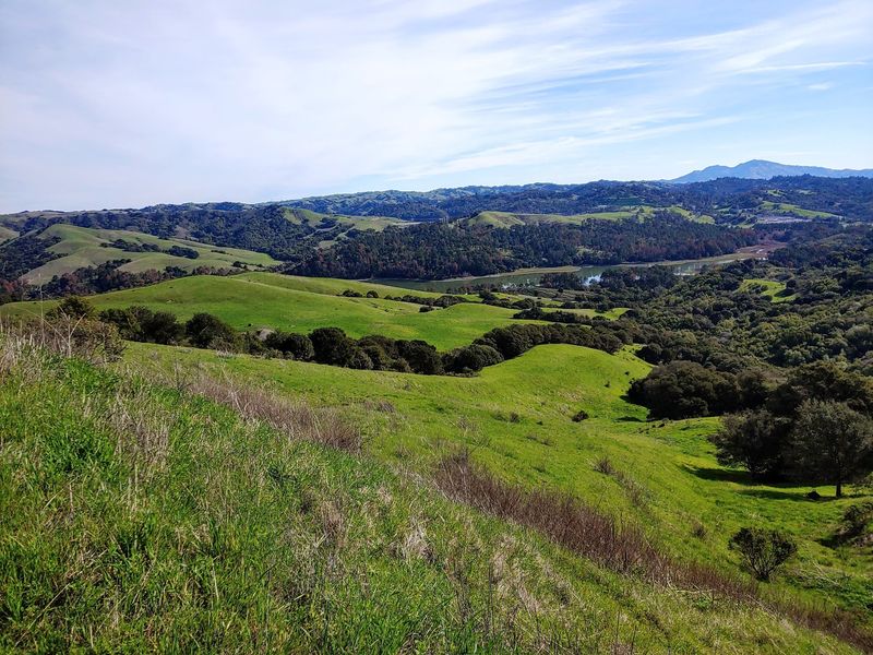 Explore The Regional Parks Botanic Garden
