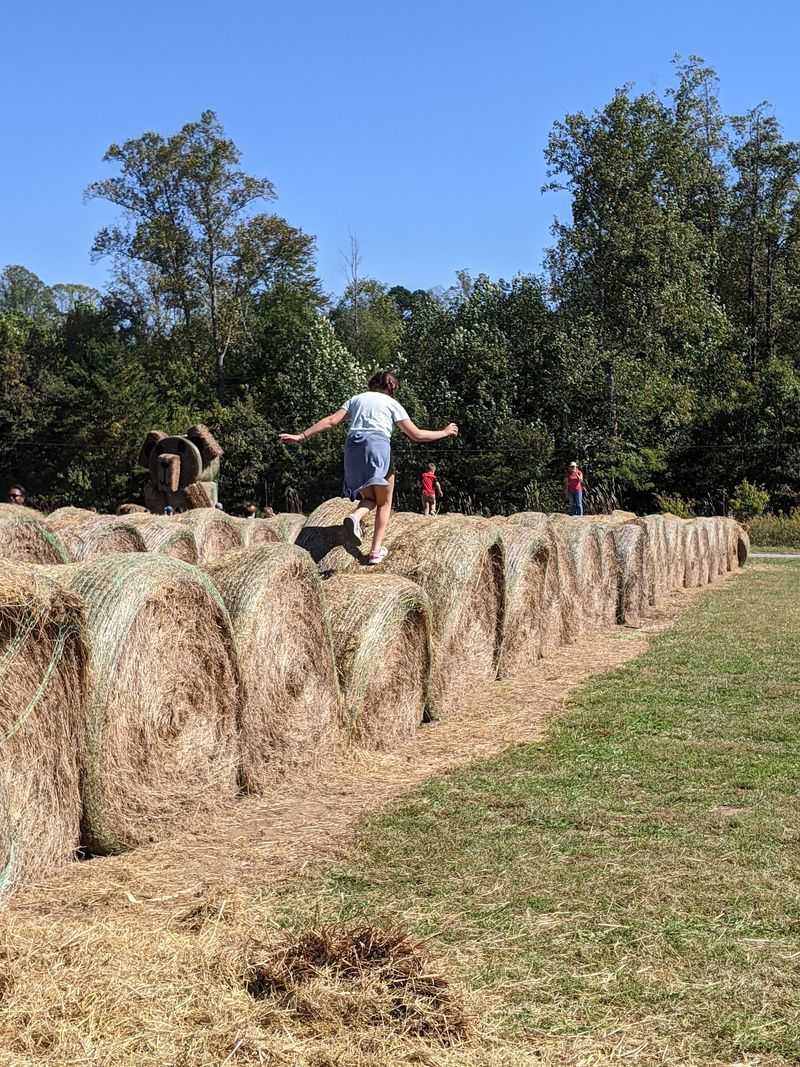 Stay Long Enough To Discover More Than 30 Activities Across The Farm