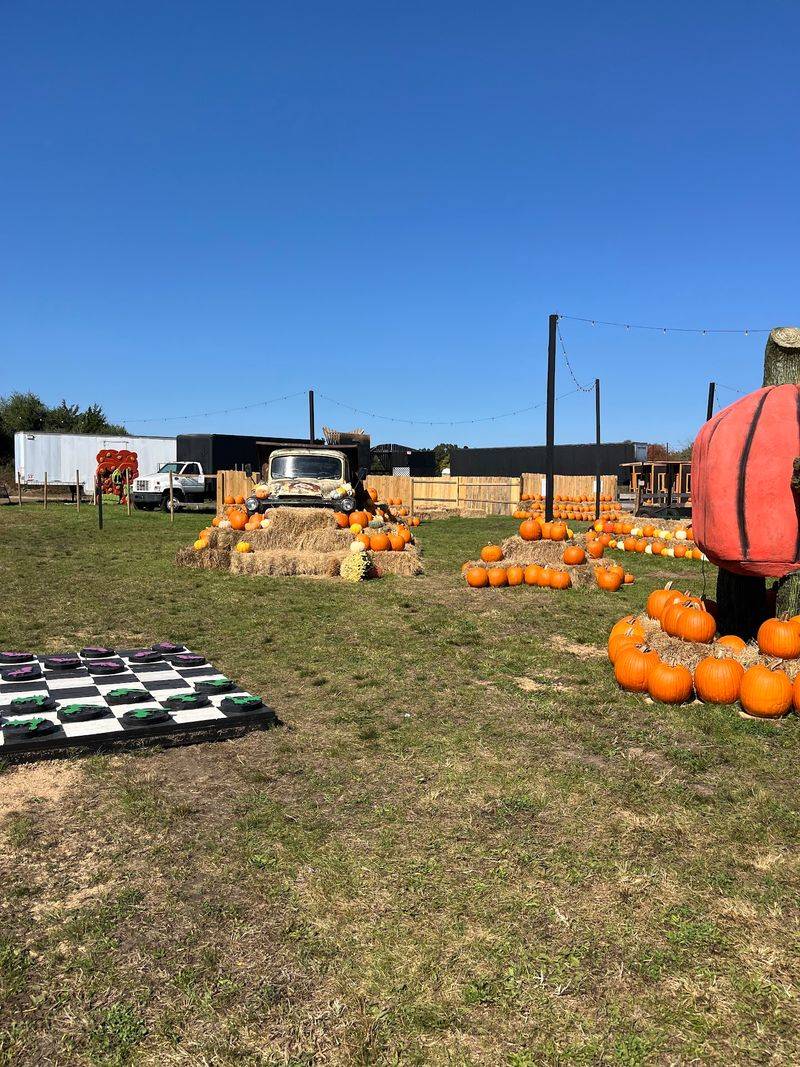 Paint A Fall Pumpkin