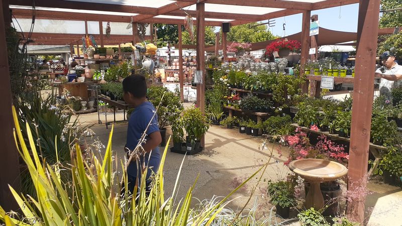 The Outdoor Garden Is Much Bigger Than It Looks From The Road
