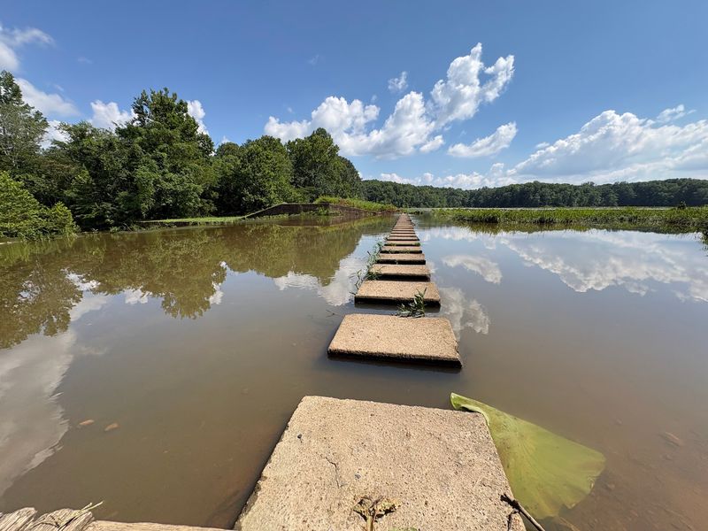 You Can Practically Walk On Water At This Kentucky Water Trail Filled With Eagles And Herons - Decor Hint The Shallow Secret Behind The Walk On Water Feeling