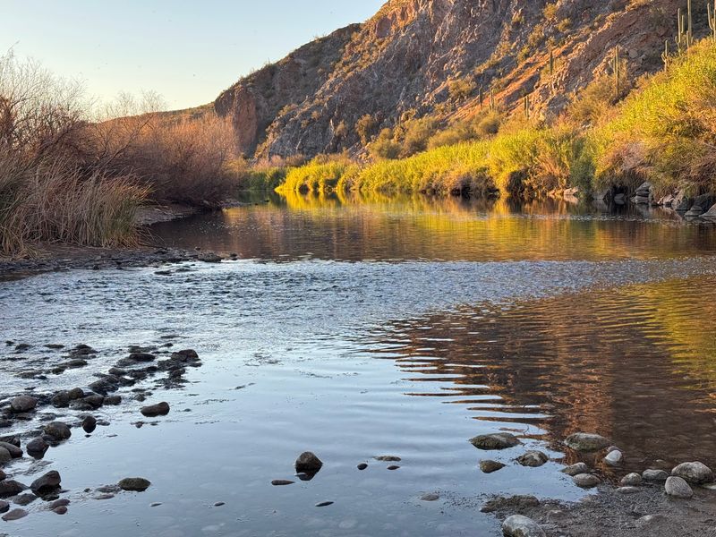 Riverside Scenery Worth Slowing Down For
