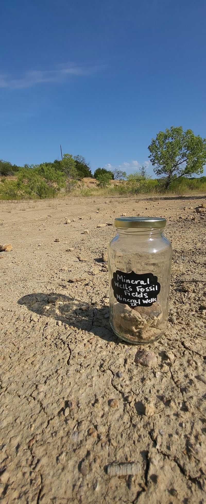 Search For 300-Million-Year-Old Fossils At This Incredible Texas Park, And Take Home What You Find - Decor Hint The Trilobite Treasure Hunt