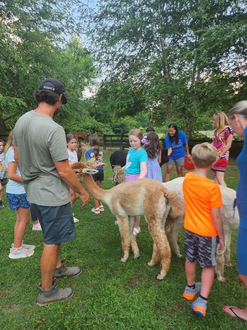 The Guided Ranch Tour That Flies By