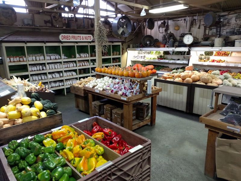 LJB Farms: Garlic Ice Cream, Anyone?