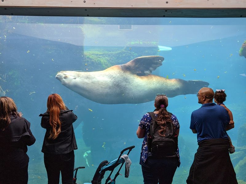 Alaska SeaLife Center, Seward