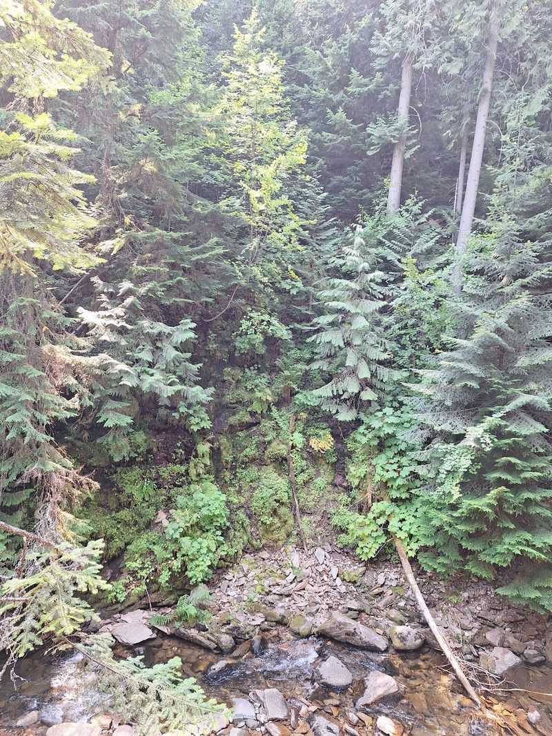 Myrtle Falls Trail In Bonners Ferry