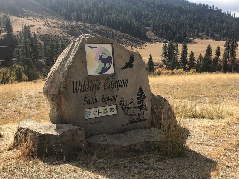 WildLife Canyon Scenic Byway