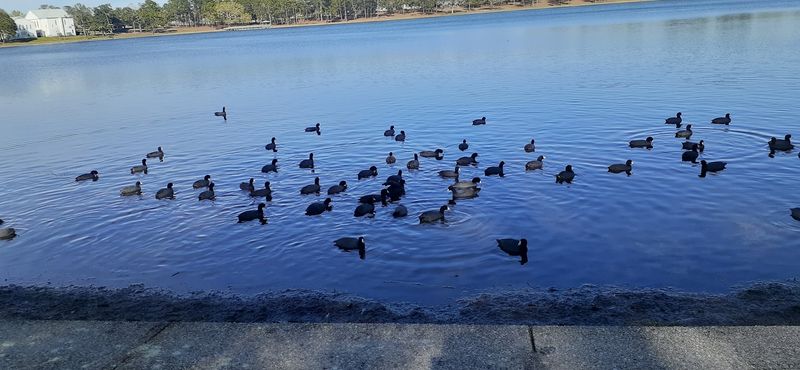 DeFuniak Springs