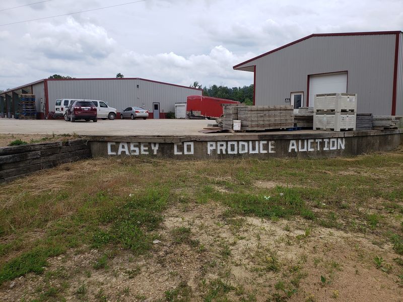 Casey County Produce Auction In Full Swing