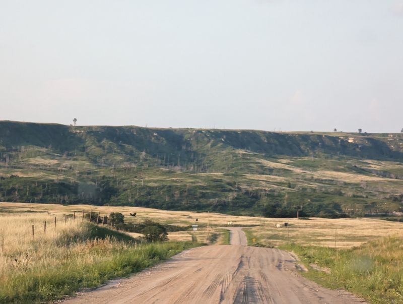Nearly 1,000 Sandhill Prairie Acres Surround The Bison Herd At This Nebraska Preserve - Decor Hint Hours, Cell Service, and the Road to Johnstown