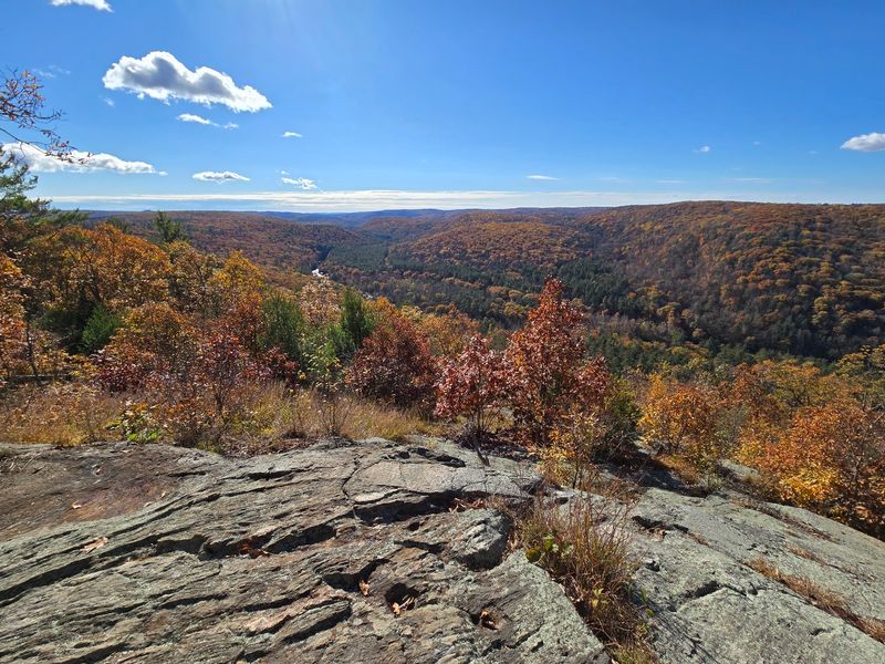 Peoples State Forest, Barkhamsted
