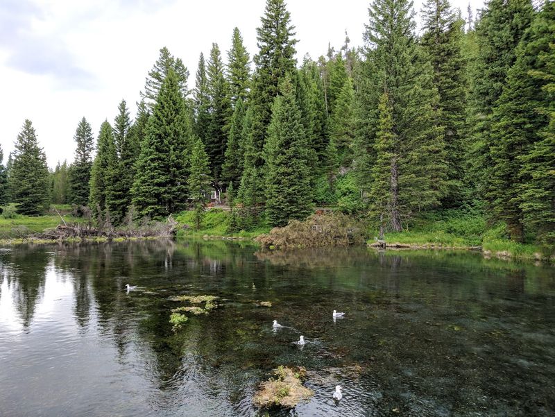 A National Natural Landmark Since 1980