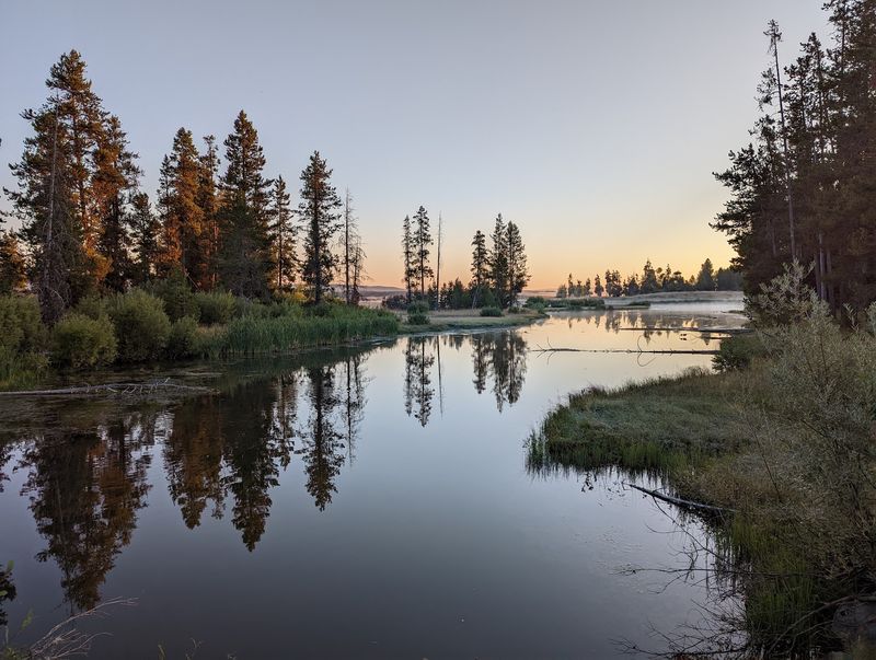 Trout That Test Every Angler