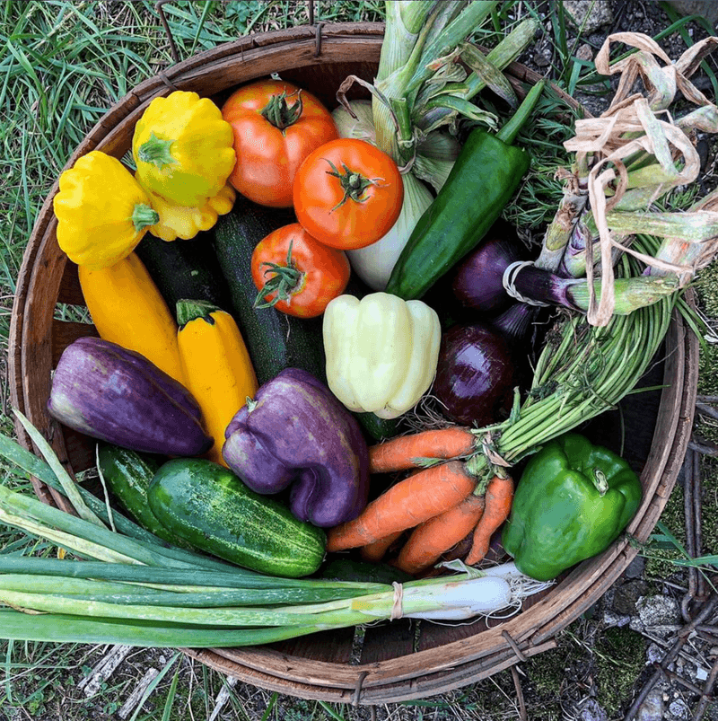 Fresh Produce Comes Straight From The Fields