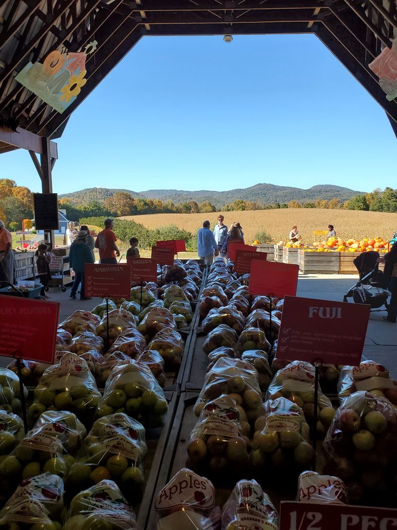 This North Carolina Apple Orchard Goes All Out For Fall With Pumpkins, Hot Donuts And Fresh Cider - Decor Hint Dozens Of Apple Varieties Keep Changing As The Season Rolls Along