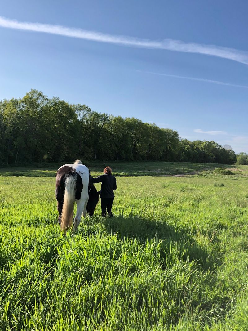 Volunteers Help With Daily Animal Care