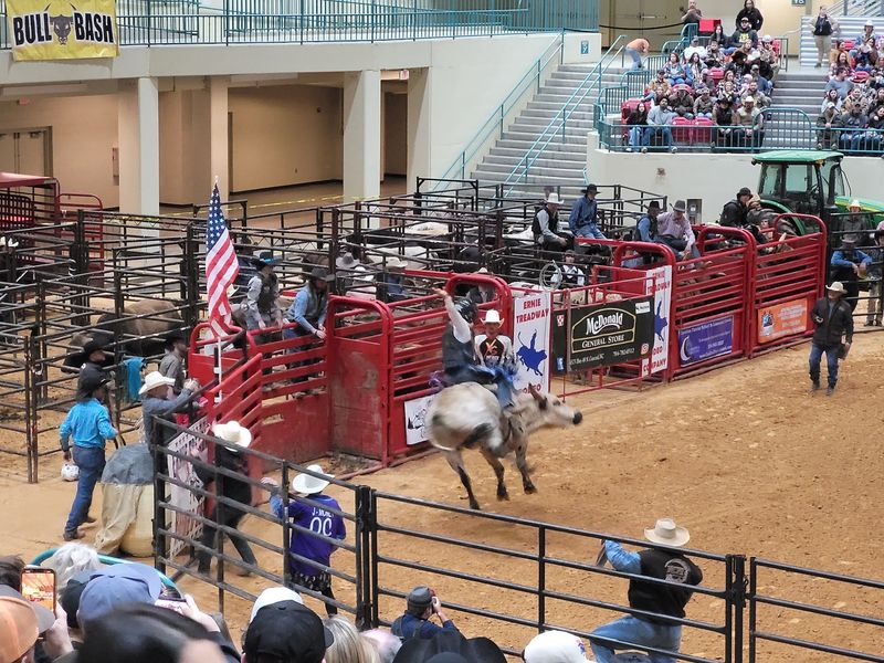 Four Rodeo Nights Add Bull Riding Barrel Racing And More To The Schedule