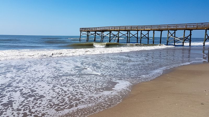 10 North Carolina Coastal Spots Where You Could Encounter The Mysterious Blue Land Crab - Decor Hint Atlantic Beach