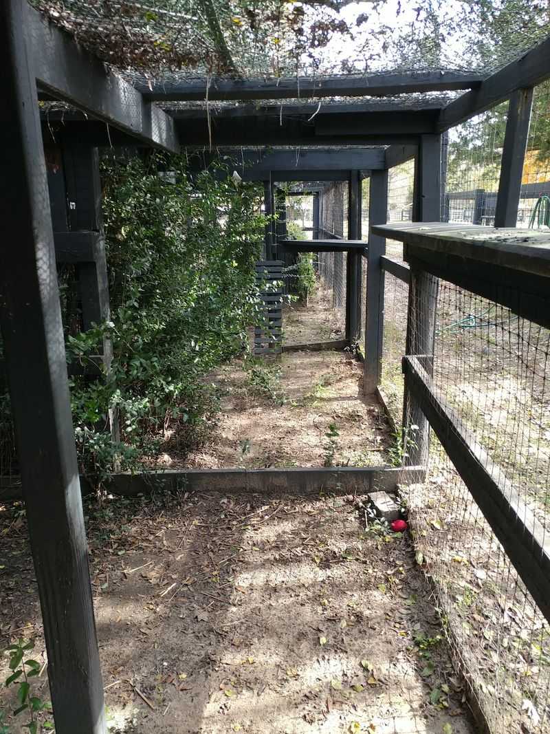 This South Carolina Cage-Free Sanctuary Gives Rescued Animals The Fresh Start They Deserve - Decor Hint Planning Your Visit And Tour
