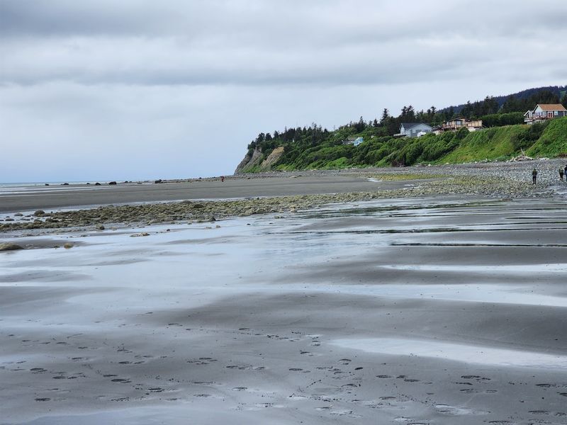 Most Visitors Avoid This Alaska Beach In Fall, But Locals Know It's Perfect For Tidepooling - Decor Hint Catch The Right Tide
