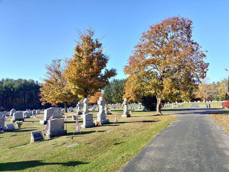 10 Haunted Roads In New York Locals Think Twice About Driving After Dark - Decor Hint Widow Susan Road, Amsterdam