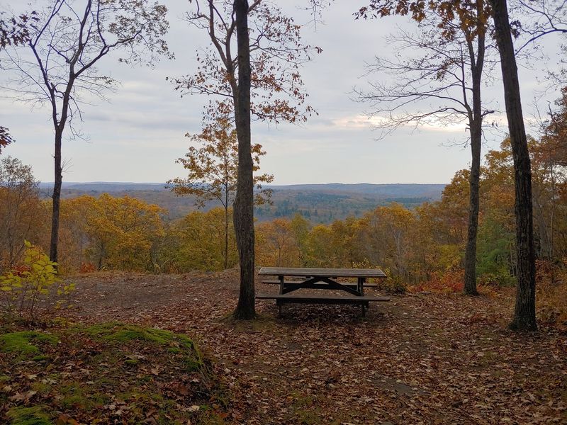 Shenipsit State Forest, Somers