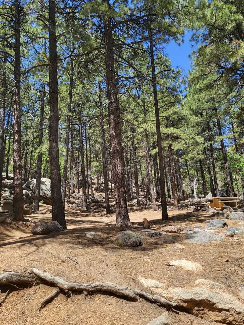 Hualapai Peak Trail, Kingman