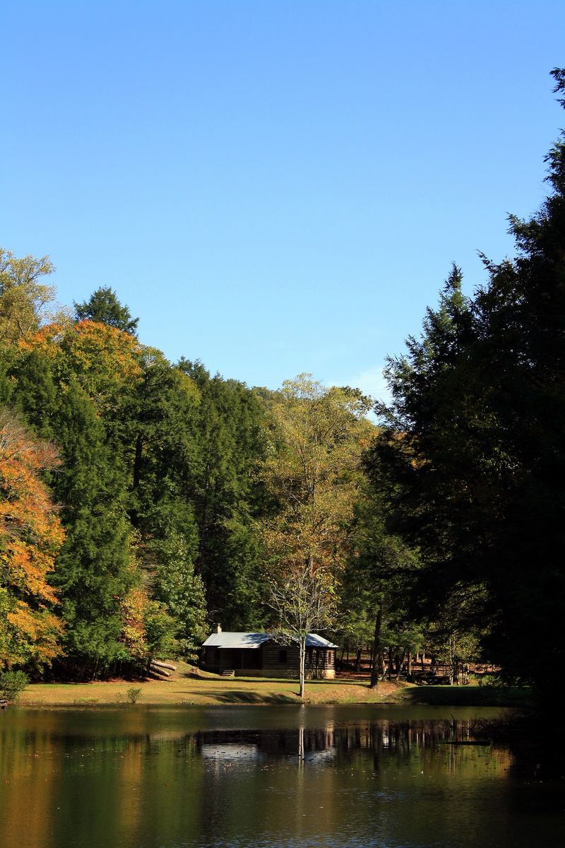 You Can Hike Past 350-Year-Old Trees And Towering Sandstone Bluffs On This Secret Kentucky Trail - Decor Hint Planning A Visit That Actually Works