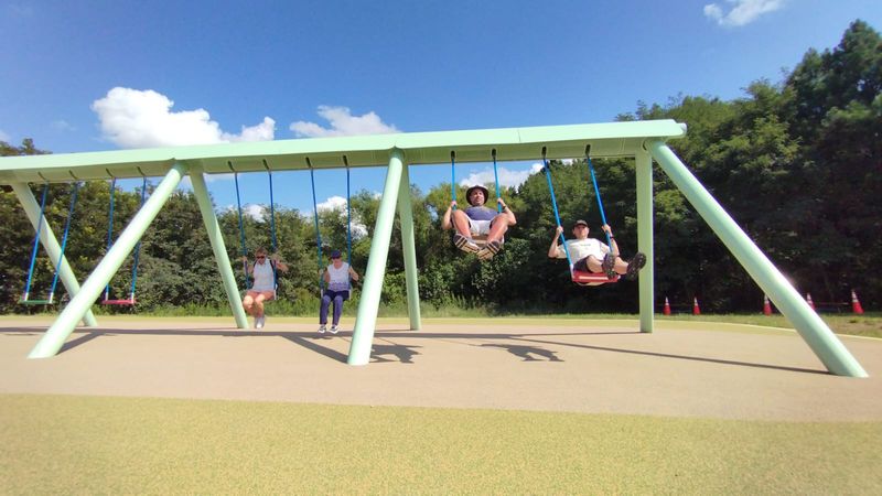 This Strange North Carolina Attraction Has A Secret That Only Reveals Itself When You Start Moving - Decor Hint Watch Light And Sound React To Every Swinging Motion