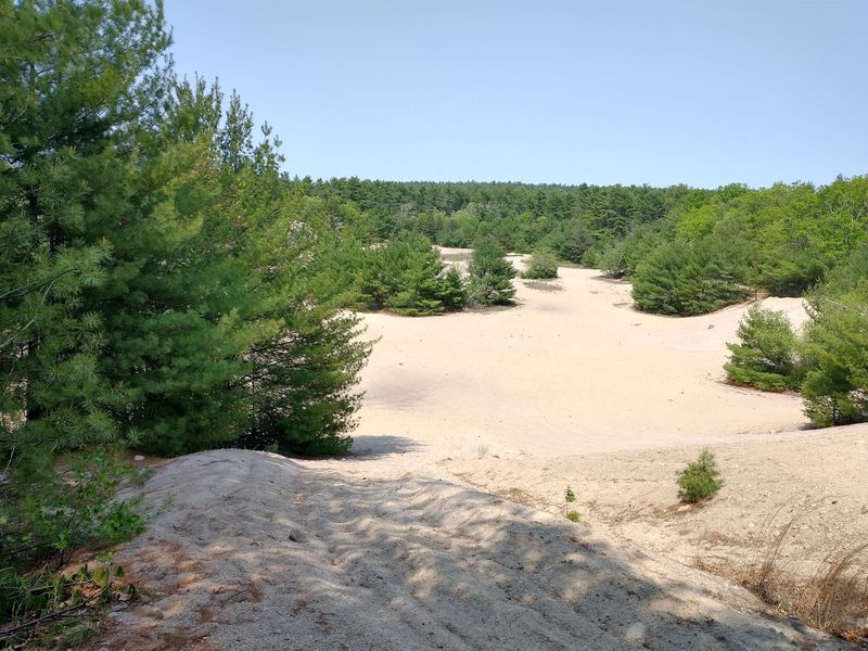 Big River Management Area Trails, West Greenwich