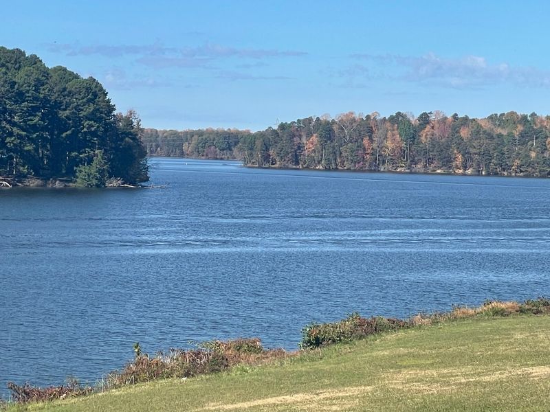 Lakeside Views Give The Festival A More Relaxed Setting Than A Typical Concert Venue