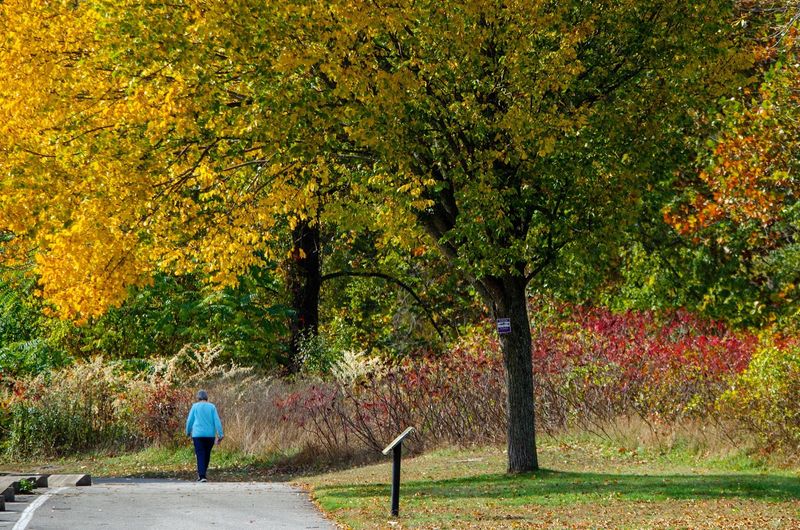 Fall Weekends Bring Extra Energy To The Streets