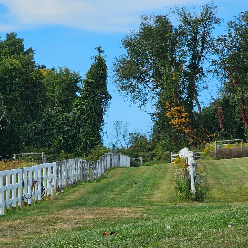10 Haunted Roads In New York Locals Think Twice About Driving After Dark - Decor Hint Tilly Foster Mine Road, Brewster