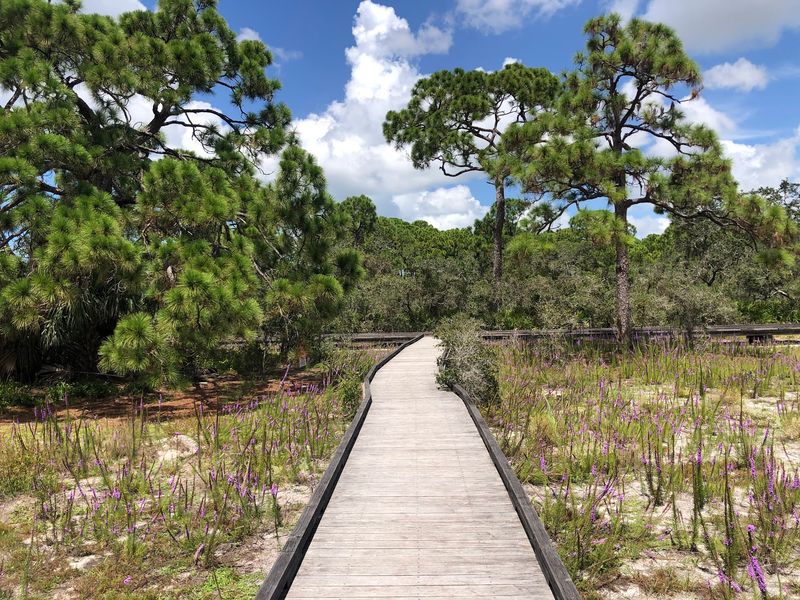 Naples Preserve