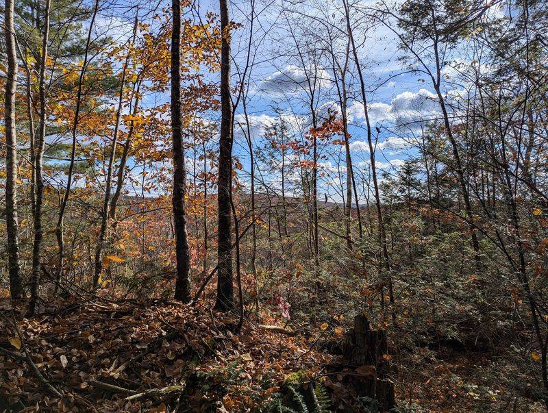American Legion State Forest, Barkhamsted