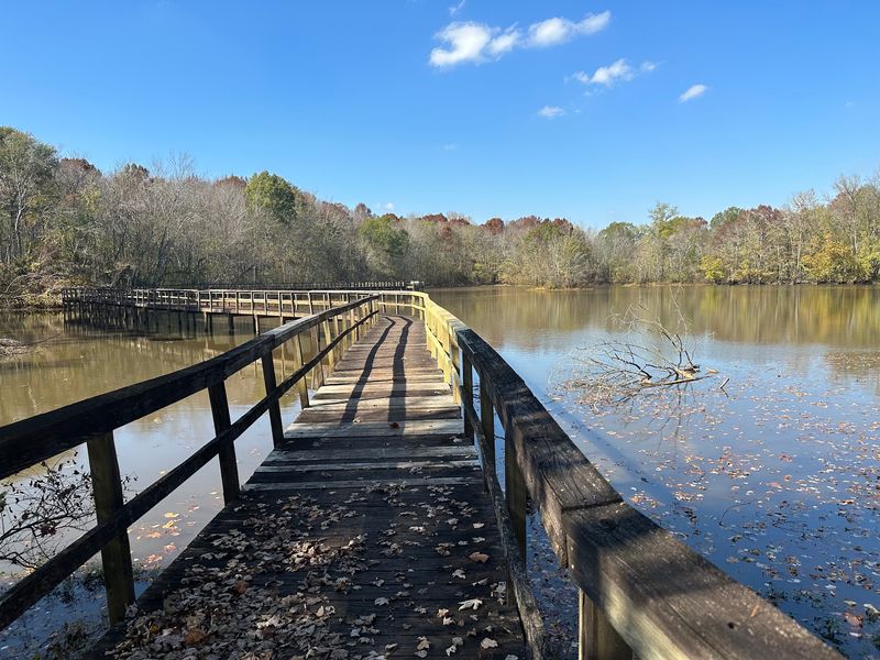 Cypress Grove Nature Park, Jackson