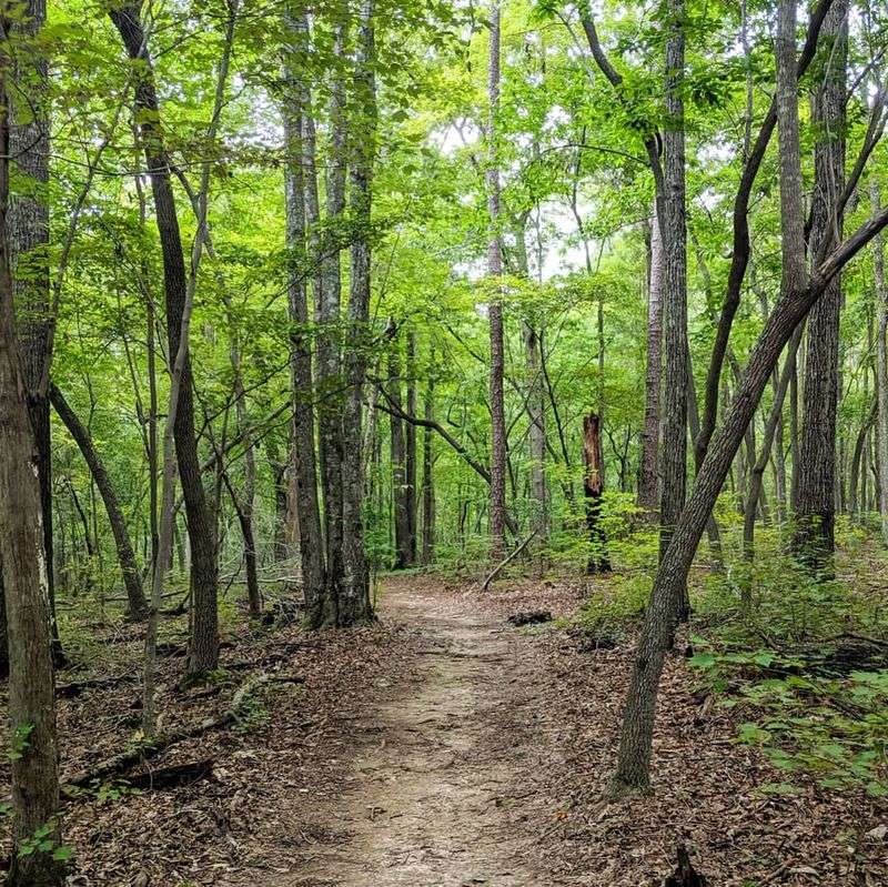 Kings Mountain Nature Trail, Blacksburg