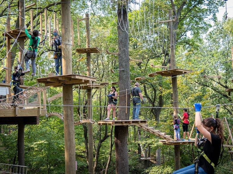 TreeRush Adventures Overhead