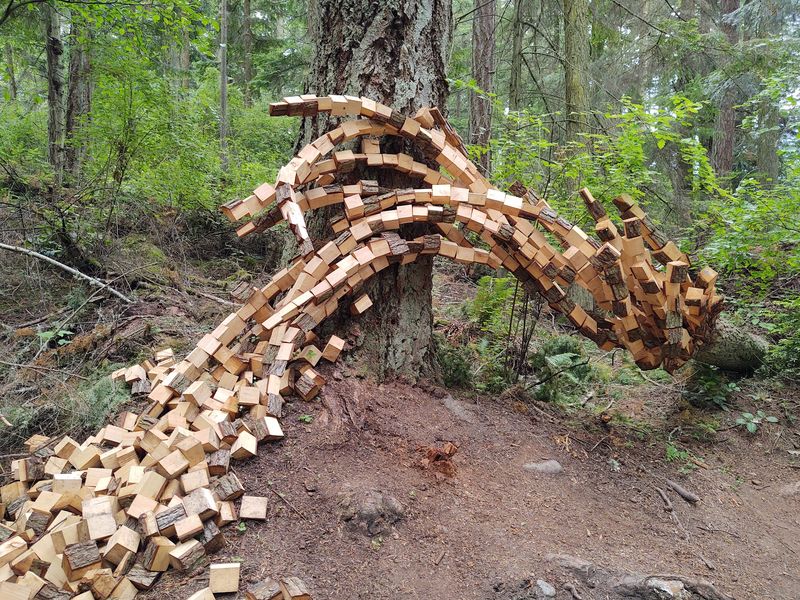 Whimsy Way Climbs Higher