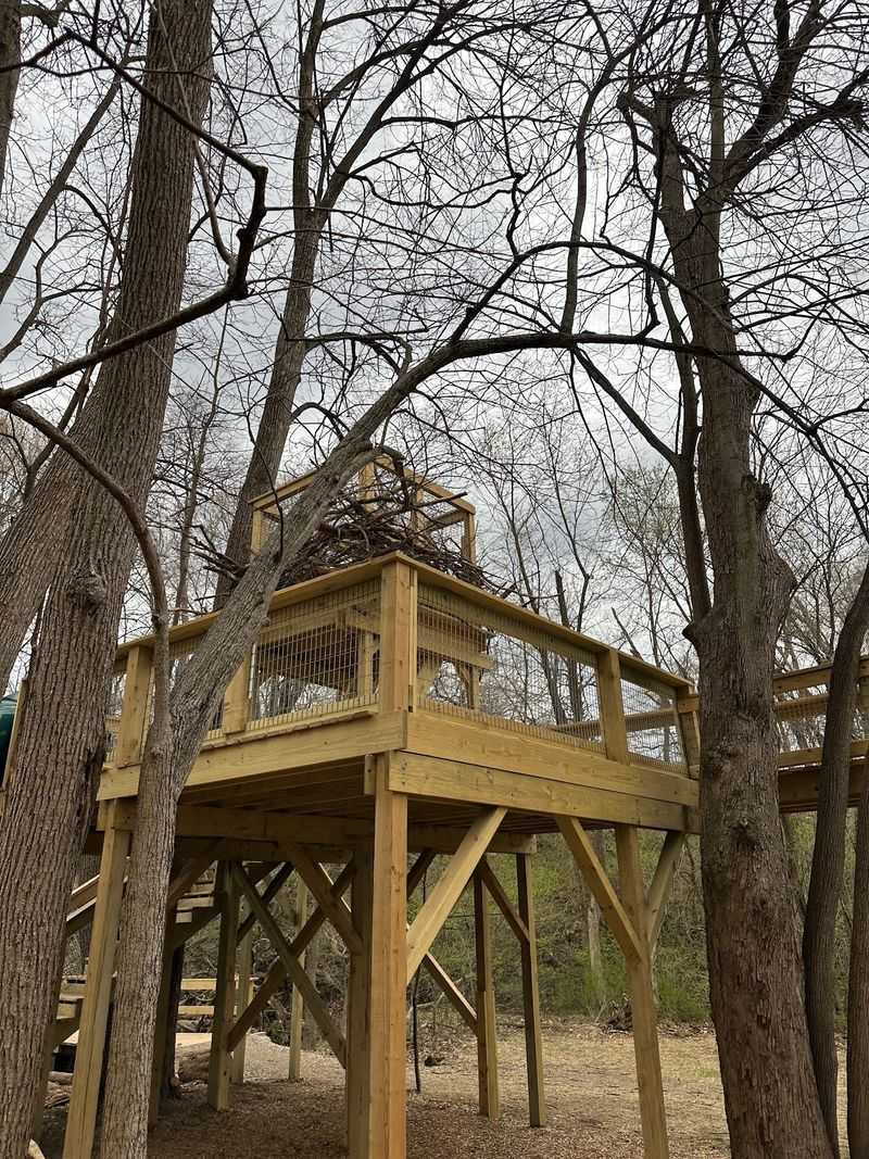 Nature Playscape At Infirmary Mound Park, Granville